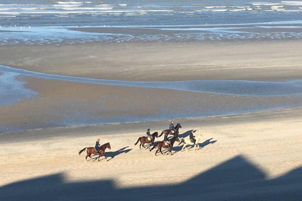 Entre Dunes Et Mer براي دون المظهر الخارجي الصورة