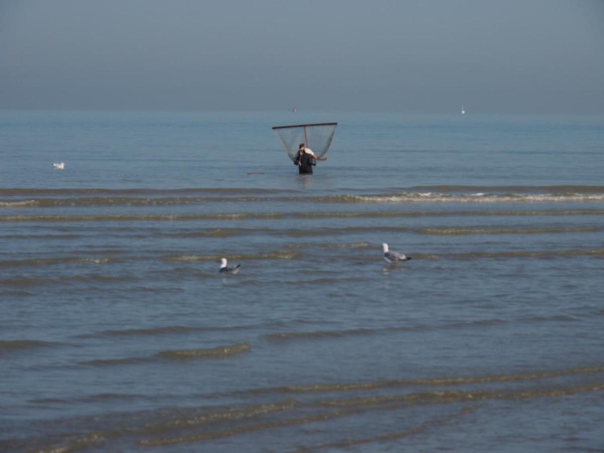 Entre Dunes Et Mer براي دون المظهر الخارجي الصورة