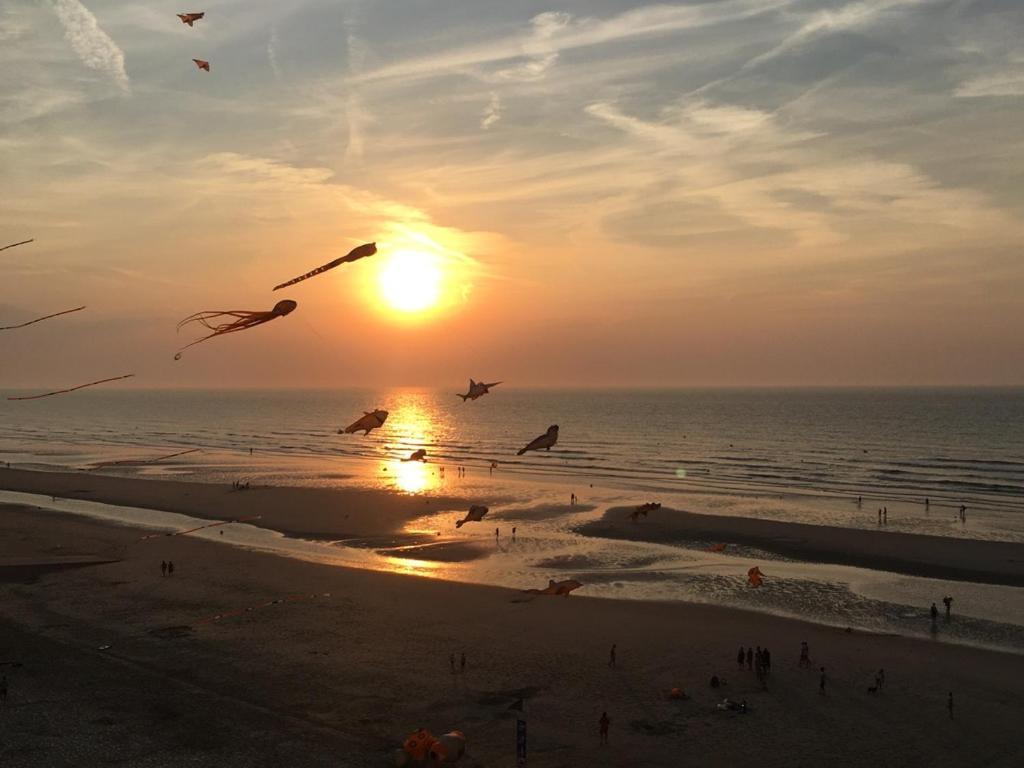 Entre Dunes Et Mer براي دون المظهر الخارجي الصورة